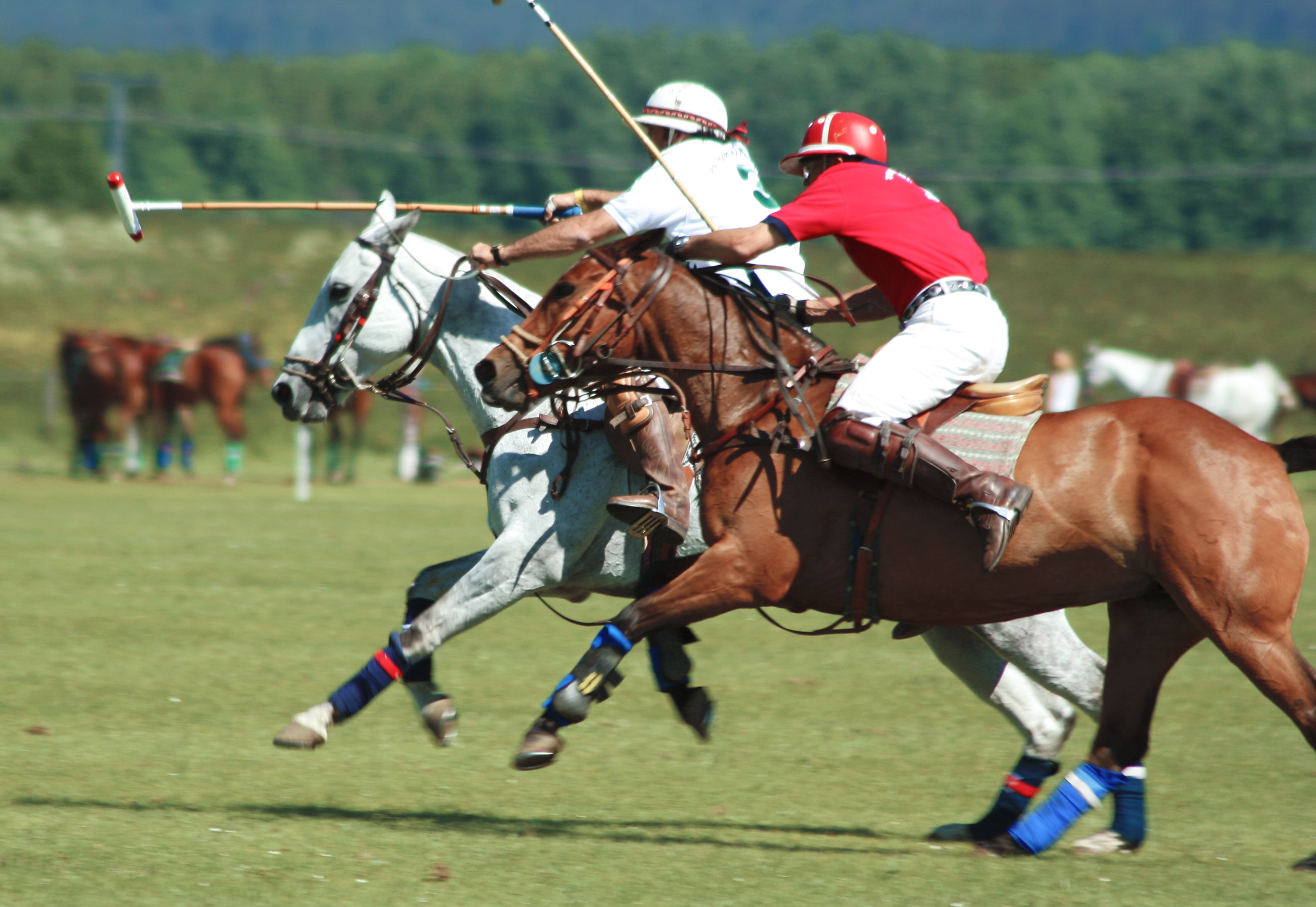 Lehigh Valley Polo